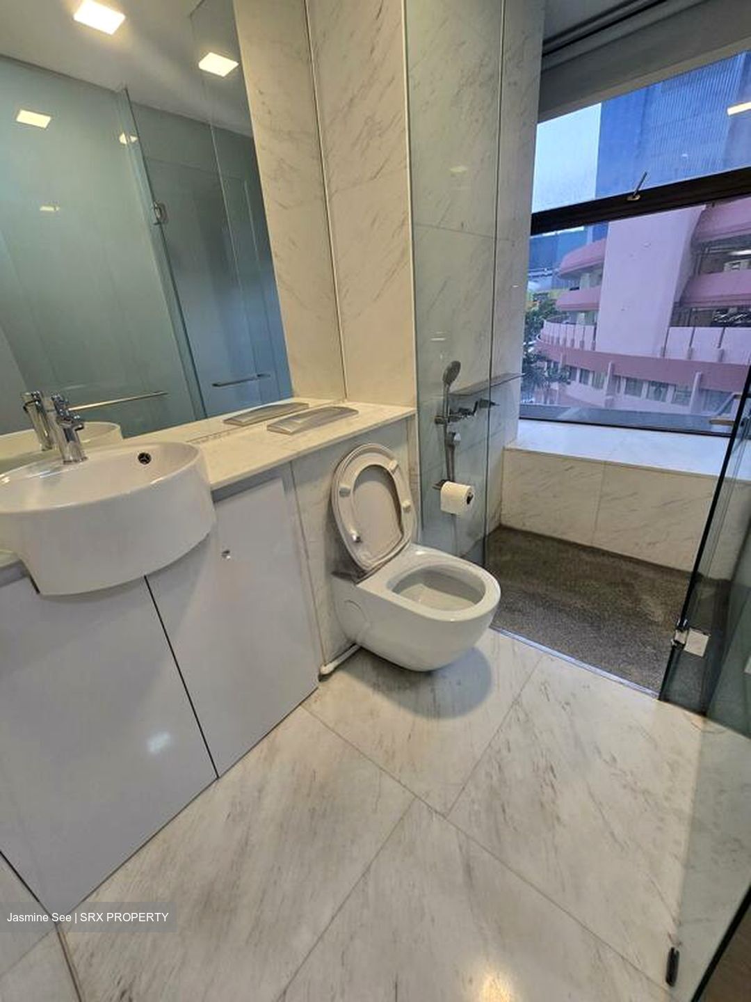 Newton Suites (D11), Apartment #519984241